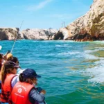 Las islas ballestas paracas visita en tour desde Lima