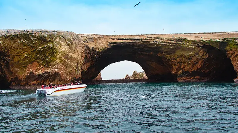 tour a islas ballesta en embarcacion incluye en Full Day Paracas Ica Chincha desde Lima agencia paracas tours peru