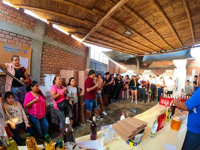 visita chincha racimo de uva